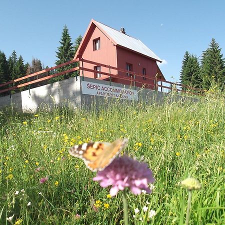 Sepic Accommodation Žabljak エクステリア 写真