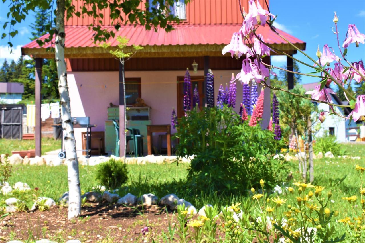Sepic Accommodation Žabljak エクステリア 写真