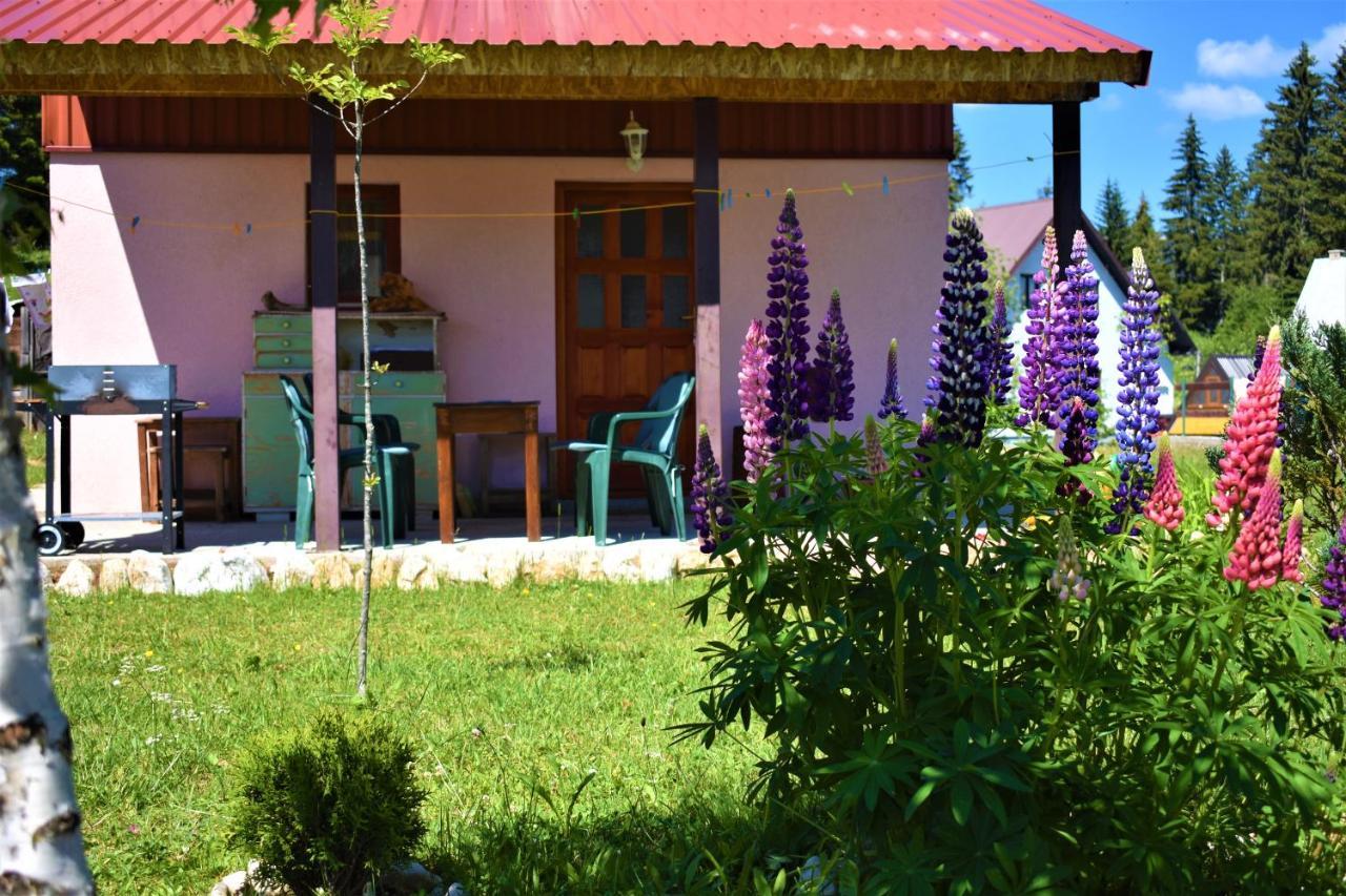 Sepic Accommodation Žabljak エクステリア 写真