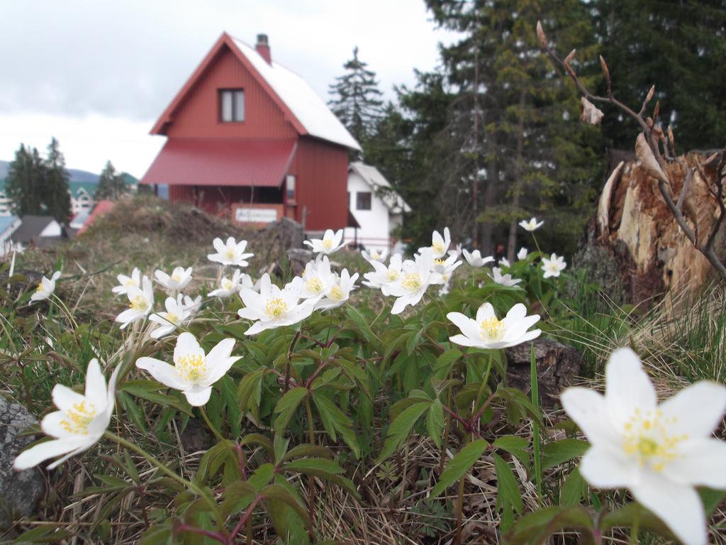 Sepic Accommodation Žabljak エクステリア 写真